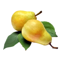 pear